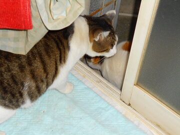 12月8日（52）仮