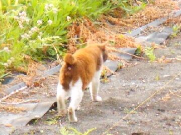 5月18日（21）使用