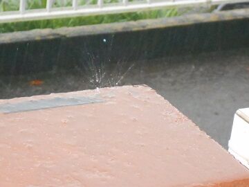 12月2日（36）仮