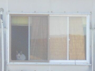 5月10日（12）仮