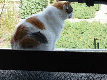 8月24日（33）仮