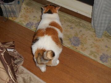 9月17日（2-3）仮