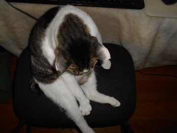 9月23日（9-6）仮