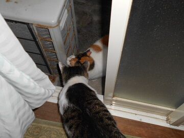 8月22日（31）仮