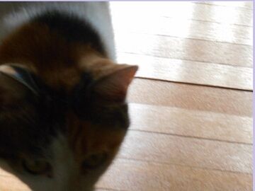 9月26日（45）仮