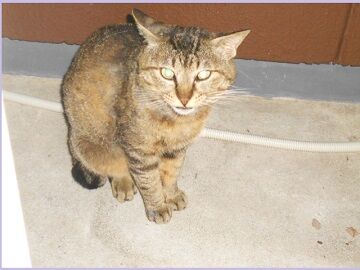 5月28日（64）仮