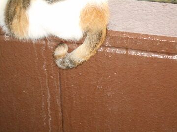 8月28日（15）仮