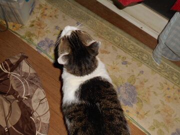 9月29日（0-6）仮