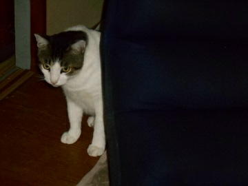 9月3日（18-15）仮