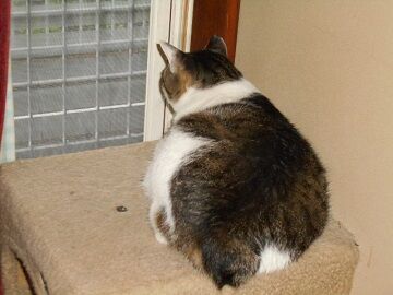 6月30日（10）仮