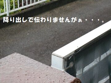 9月25日（14-1）仮