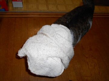 12月2日（27）仮