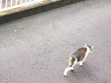 10月20日（35）仮