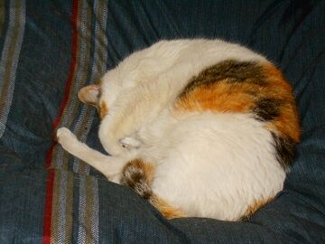 4月10日（52）仮