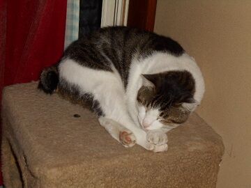 9月22日（18-1）仮