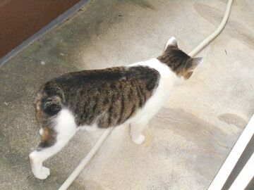 9月16日（12）仮