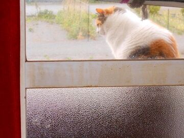 5月28日（14）仮