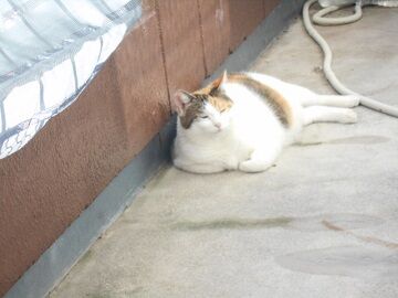 10月5日（37）仮