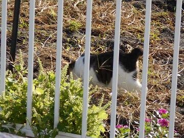 9月30日（7-9）仮