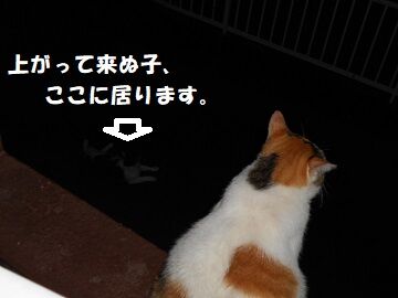 8月23日(82)仮