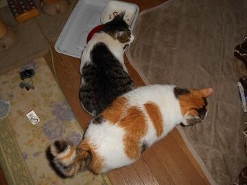 9月24日（5-5）仮