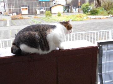 10月19日（5）仮