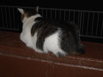 9月21日（20-13）仮