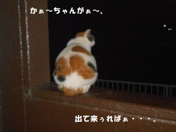 9月26日（20-11）仮