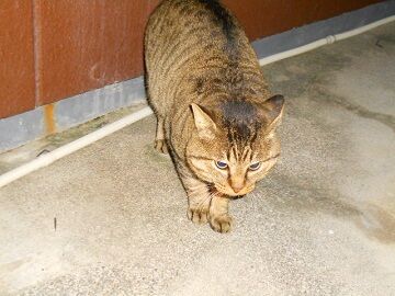 12月13日（40）仮