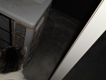 9月13日（23-6）仮