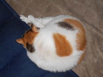 6月20日（26）仮