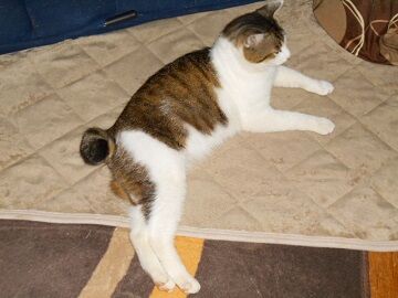 5月28日（59）仮