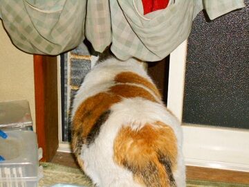 5月23日（50）仮