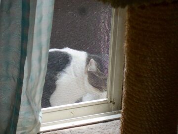 9月16日（9-3）仮