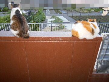 6月13日（62）仮