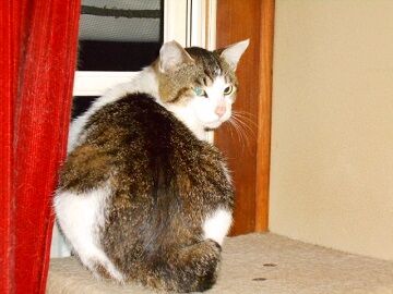 5月13日（61）仮