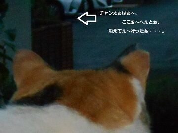 9月13日（5-5.5）仮