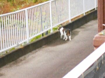 10月28日（4）仮