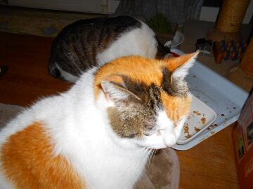 3月19日（25）仮