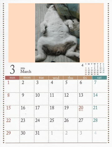 3月 (2)