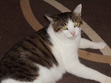 9月30日（46）仮