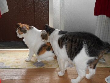 10月2日（15-11）仮