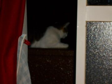 9月17日（19-9）仮