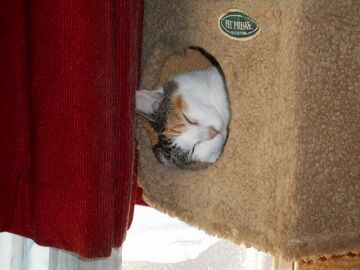 9月30日（9-1）仮