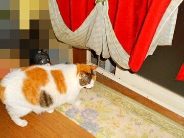 5月20日(61)仮