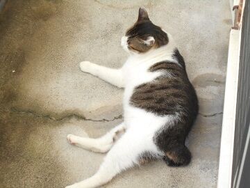 9月6日（6-14）仮