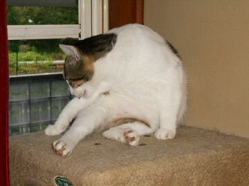 7月14日（39）仮