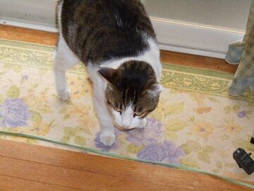 5月31日（23）仮