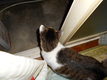 10月23日（80）仮