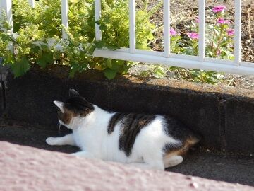 10月2日（9-1）仮